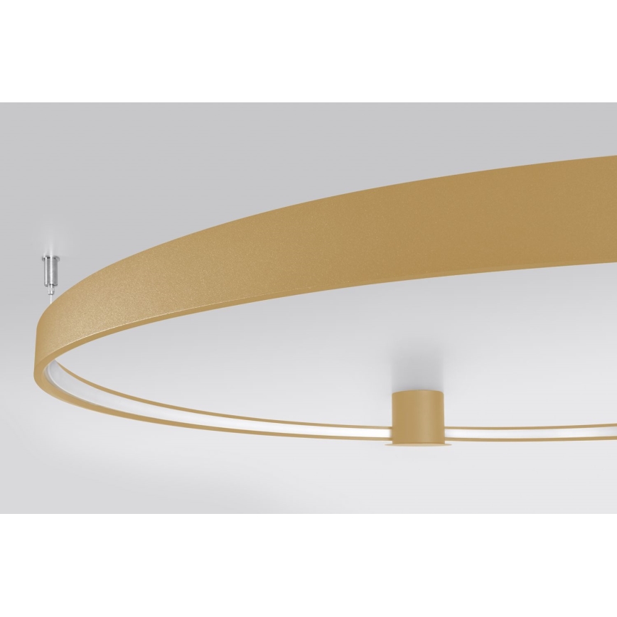 Thoro TH.224 - LED Laevalgusti RIO LED/50W/230V CRI 90 3000K d. 78 cm kuldne