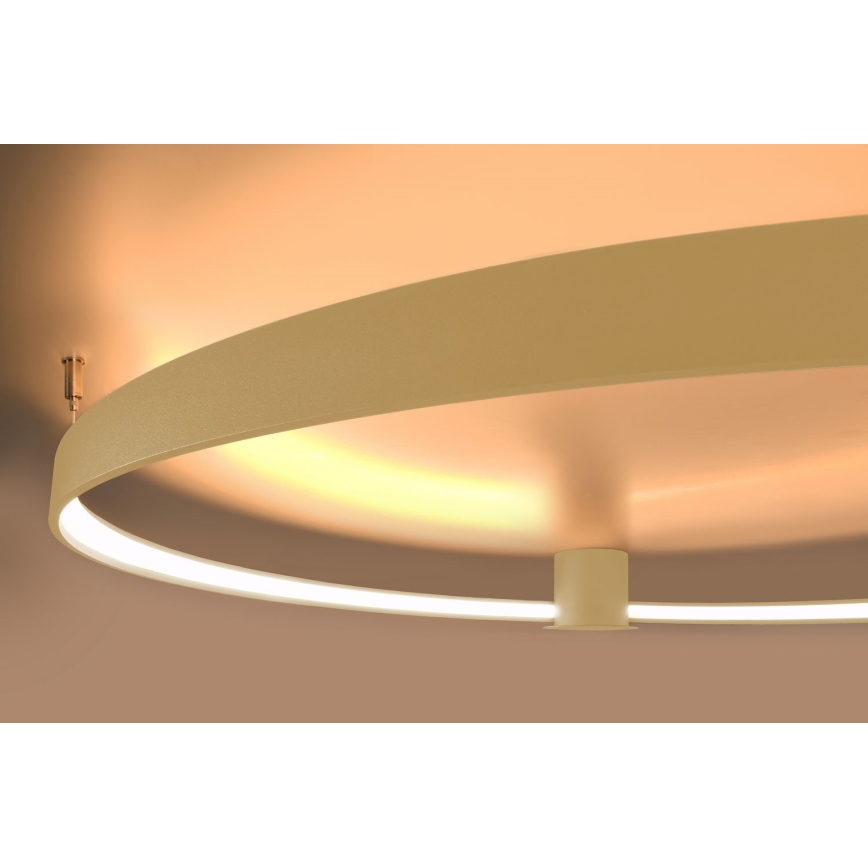 Thoro TH.224 - LED Laevalgusti RIO LED/50W/230V CRI 90 3000K d. 78 cm kuldne
