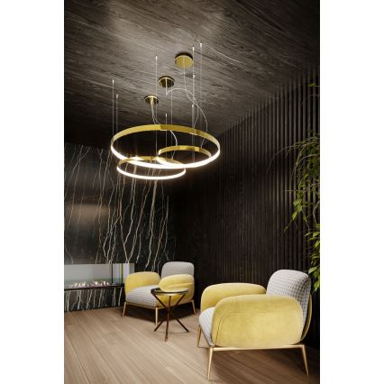 Thoro TH.246 - LED Lühter RIO LED/50W/230V CRI 90 3000K d. 78 cm kuldne
