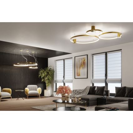 Thoro TH.246 - LED Lühter RIO LED/50W/230V CRI 90 3000K d. 78 cm kuldne
