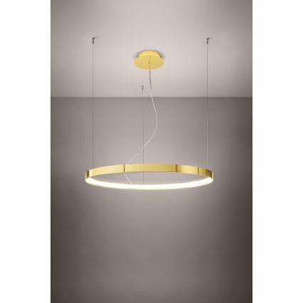 Thoro TH.246 - LED Lühter RIO LED/50W/230V CRI 90 3000K d. 78 cm kuldne