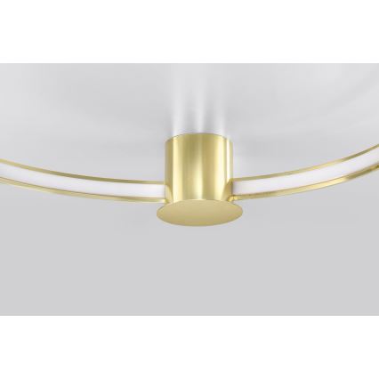Thoro TH.252 - LED Laevalgusti RIO LED/50W/230V CRI 90 3000K d. 78 cm kuldne