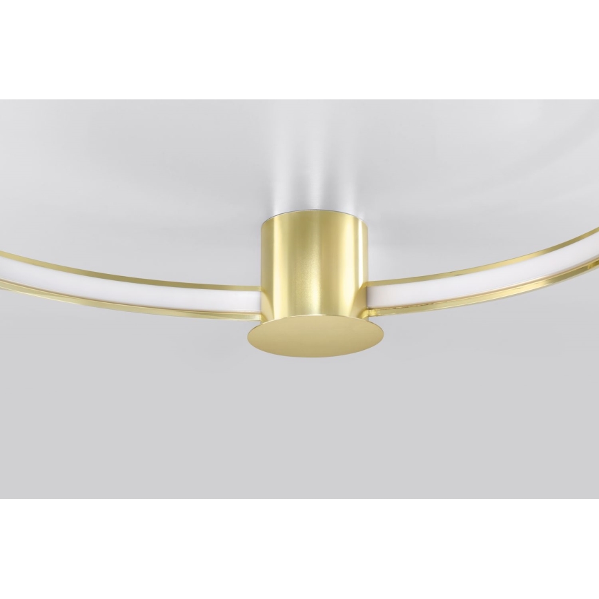 Thoro TH.252 - LED Laevalgusti RIO LED/50W/230V CRI 90 3000K d. 78 cm kuldne