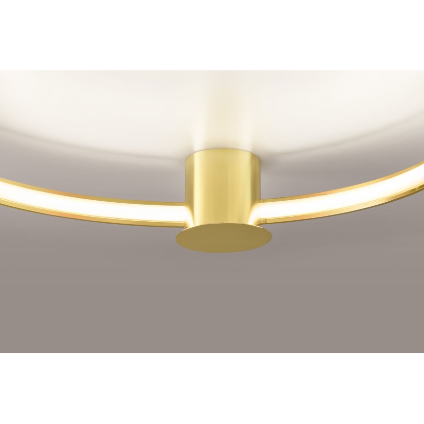 Thoro TH.252 - LED Laevalgusti RIO LED/50W/230V CRI 90 3000K d. 78 cm kuldne