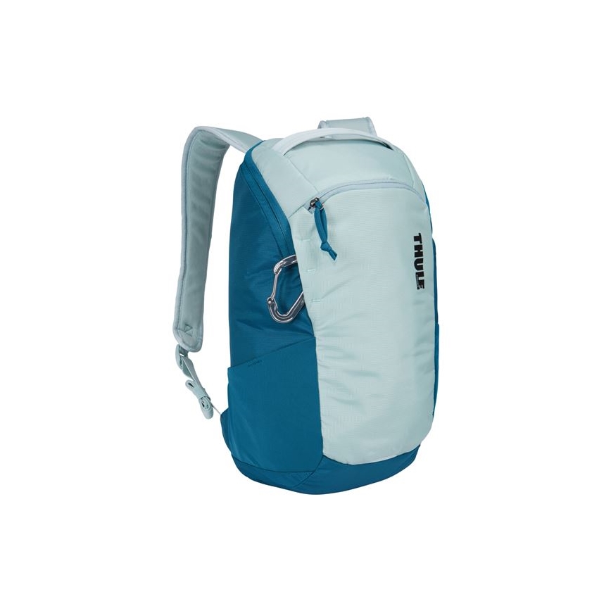 Thule TL-TEBP313ADT - Seljakott 14 l sinine/roheline