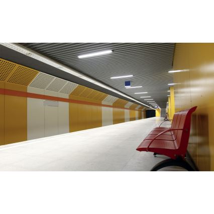 Tööstuslik luminofoorvalgusti LIMEA T8 2xG13/10W/230V IP65 1500mm