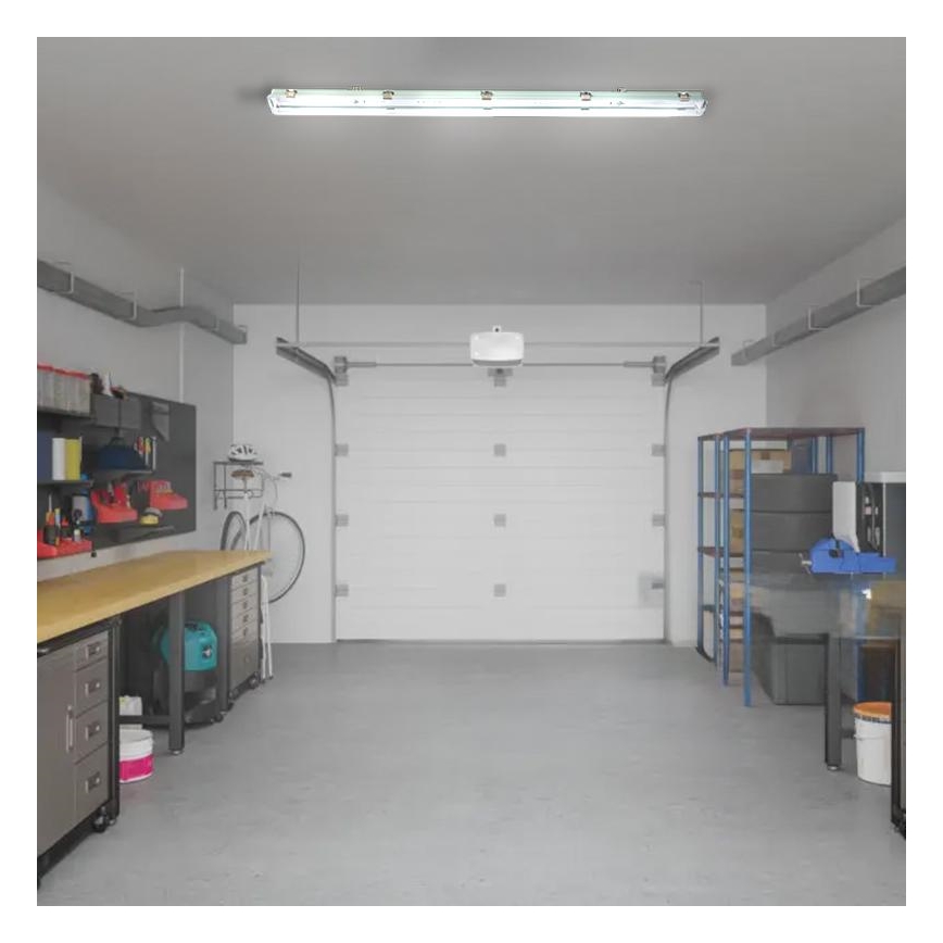 Tööstuslik luminofoorvalgusti T8 2xG13/18W/230V IP65 126 cm