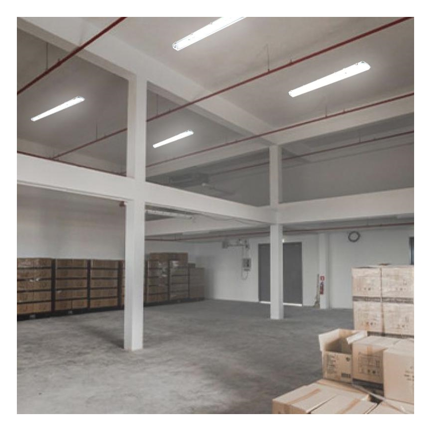 Tööstuslik luminofoorvalgusti T8 2xG13/18W/230V IP65 126 cm