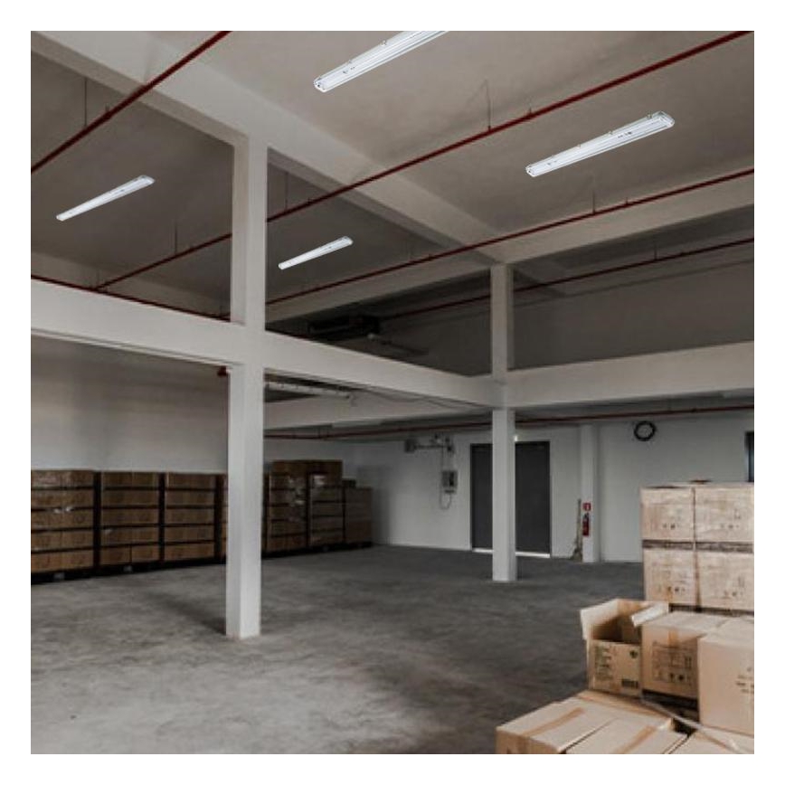 Tööstuslik luminofoorvalgusti T8 2xG13/18W/230V IP65 126 cm
