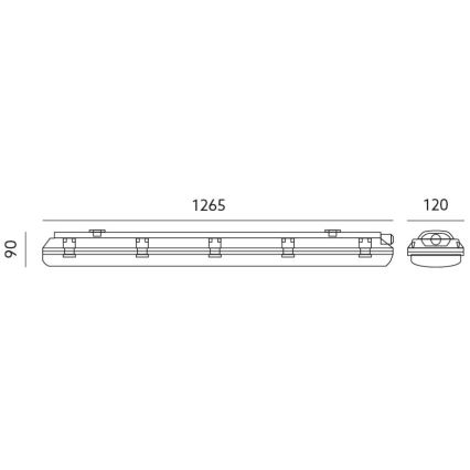 Tööstuslik luminofoorvalgusti T8 2xG13/18W/230V IP65