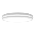 Top Light - COMET LED-vannitoa laelamp, 40 W, 230 V, 3000/4000/6500K, IP54, valge, Ø 40 cm