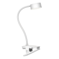 Top Light - LED dimmeriga puudutusega lauavalgusti klippingiga BELLA LED/4,8W/5V 3000-6500K valge
