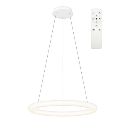 Top Light - LED hämardatav ripplamp kaablil RINGO LED/40W/230V 3000-6500K valge + kaugjuhtimispult