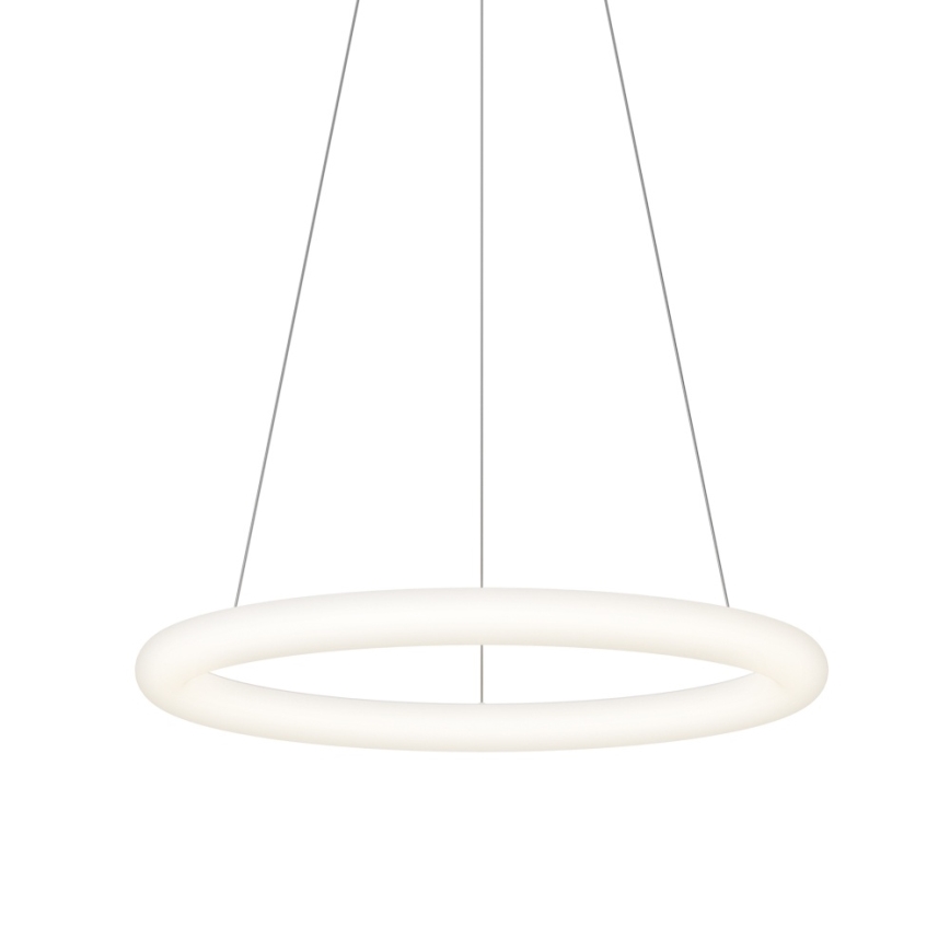 Top Light - LED hämardatav ripplamp kaablil RINGO LED/40W/230V 3000-6500K valge + kaugjuhtimispult