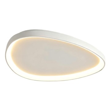 Top Light - LED hämardatav laevalgusti ECLIPSE LED/55W/230V 3000-6500K Ø 60 cm valge + kaugjuhtimispult