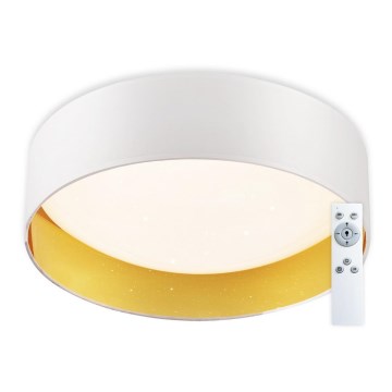 Top Light - LED Hämardatav laevalgusti IVONA 40B pult LED/24W/230V + kaugjuhtimispult valge