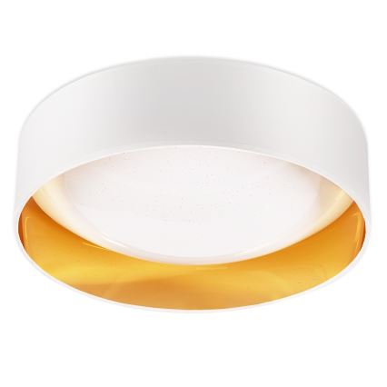 Top Light - LED Hämardatav laevalgusti IVONA 40B pult LED/24W/230V + kaugjuhtimispult valge