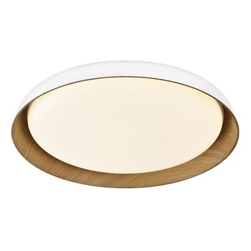 Top Light - LED Hämardatav laevalgusti SATELLITE LED/48W/230V 3000-6500K d. 53 cm valge/pruun + kaugjuhtimispult