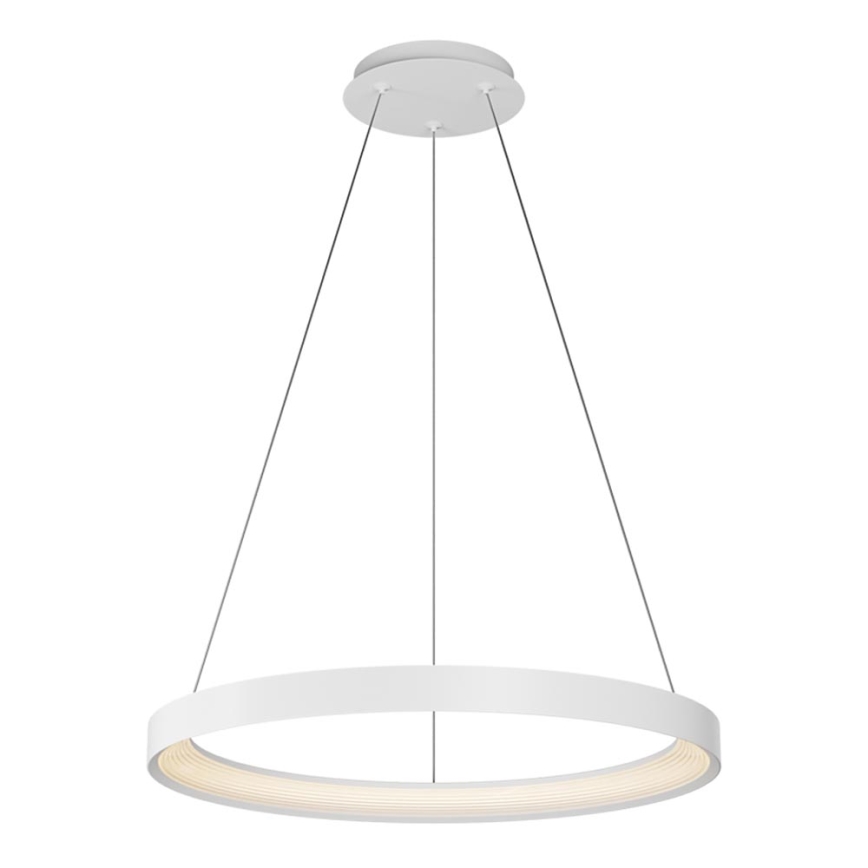 Top Light - LED Hämardatav lühter ORBIT LED/40W/230V 3000-6500K d. 50 cm valge + kaugjuhtimispult
