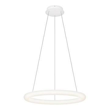 Top Light - LED hämardatav ripplamp kaablil RINGO LED/40W/230V 3000-6500K valge + kaugjuhtimispult