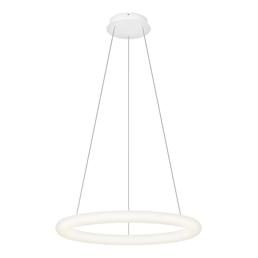 Top Light - LED hämardatav ripplamp kaablil RINGO LED/40W/230V 3000-6500K valge + kaugjuhtimispult
