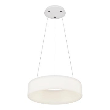Top Light - LED Hämardatav rippvalgusti HALO LED/40W/230V 3000-6500K läbimõõt 44 cm + puldiga