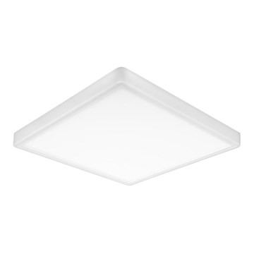 Top Light - LED Laevalgusti REVIT LED/24W/230V 3000/4000/6500K 30x30 cm valge