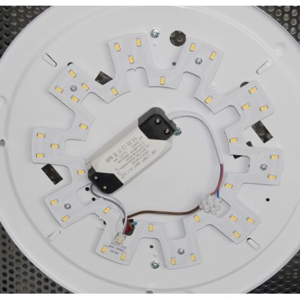 Top Light - LED moodul MODULE LED/18W/230V