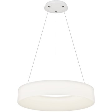 Top Light - LED Riputatav lamp HALO LED/60W/230V 3000-6500K 60 cm + kaugjuhtimispult