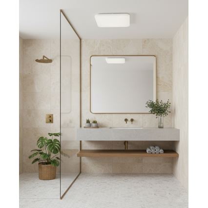 Top Light - LED-vannitoa laevalgusti DUNAJ LED/18W/230V 3000/4000/6500K IP44 27,5x27,5 cm valge