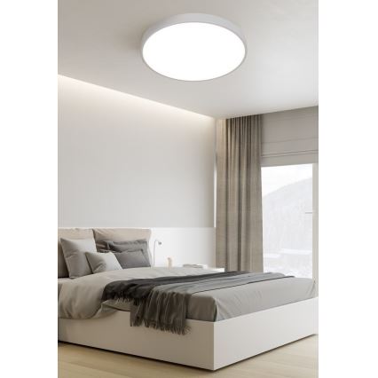 Top Light Metal 40B - LED Laevalgusti METAL LED/36W/230V