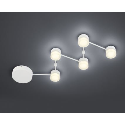 Trio - LED Hämardatav laevalgusti NASHVILLE 5xLED/3W/230V