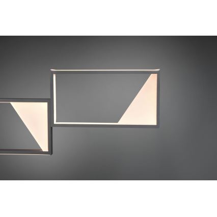 Trio - LED Hämardatav lühter CAFU 4xLED/7W/230V