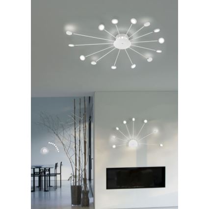 Trio - LED Hämardatav seinavalgusti PEACOCK 9xLED/2,6W/230V valge