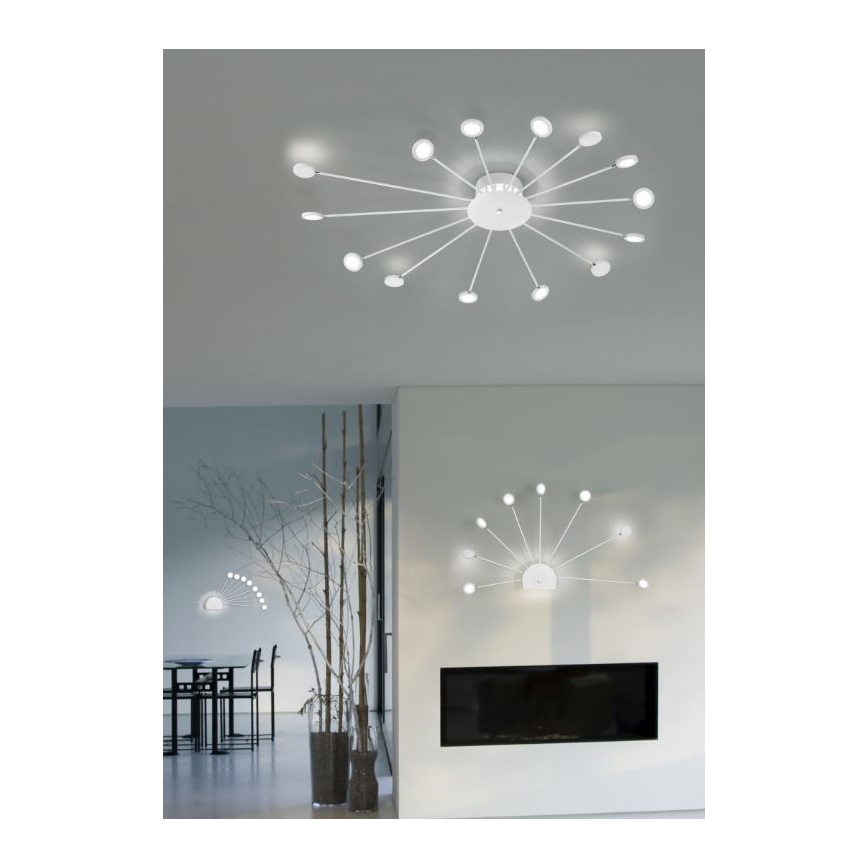 Trio - LED Hämardatav seinavalgusti PEACOCK 9xLED/2,6W/230V valge