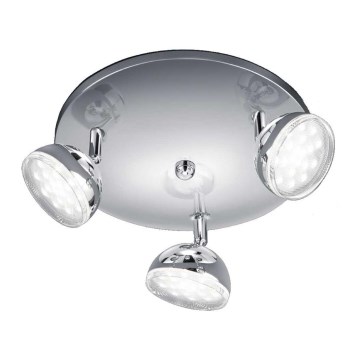 Trio - LED Kohtvalgusti BOLOU 3xLED/3,8W/230V