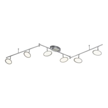 TRIO - LED Kohtvalgusti DUELLANT 6xLED/4,3W/230V 3000K