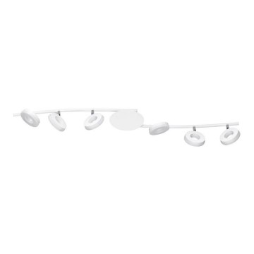TRIO - LED Kohtvalgusti RENNES 6xLED/4W/230V