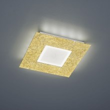 Trio - LED Laevalgusti CHIROS LED/12W/230V + LED/3,5W