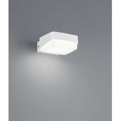 Trio - LED Väli seinavalgusti JUBA LED/10W/230V IP65