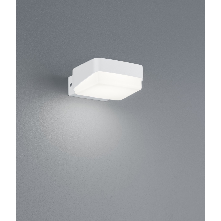Trio - LED Väli seinavalgusti JUBA LED/10W/230V IP65