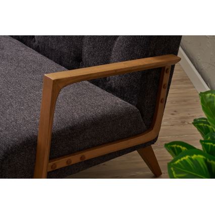 TUMI 2-kohaline diivan, antratsiit