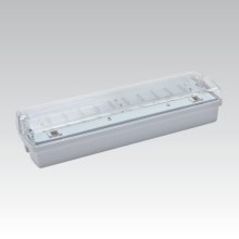 Turvavalgustus CARLA LED LED/5.51W/230V ajutine 1h