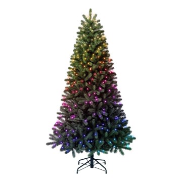 Twinkly - LED RGBW Hägusatusvõimega Jõulupuu TREE 435xLED 2,1 m Wi-Fi