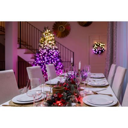 Twinkly - LED RGBW Hämardatav jõuluteemaline väli valguskett STRINGS 250xLED 23,5m IP44 Wi-Fi