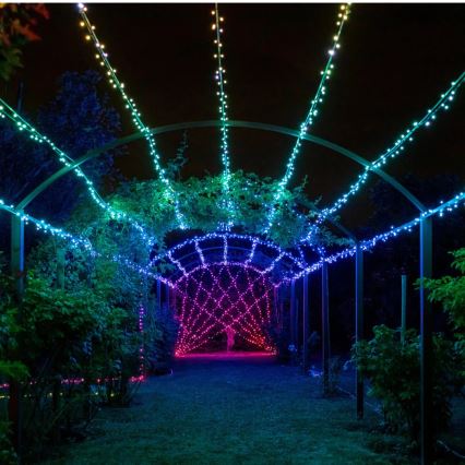 Twinkly - LED RGBW Hämardatav jõuluteemaline väli valguskett STRINGS 250xLED 23,5m IP44 Wi-Fi