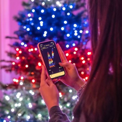 Twinkly - LED RGBW Hämardatav jõuluteemaline väli valguskett STRINGS 250xLED 23,5m IP44 Wi-Fi