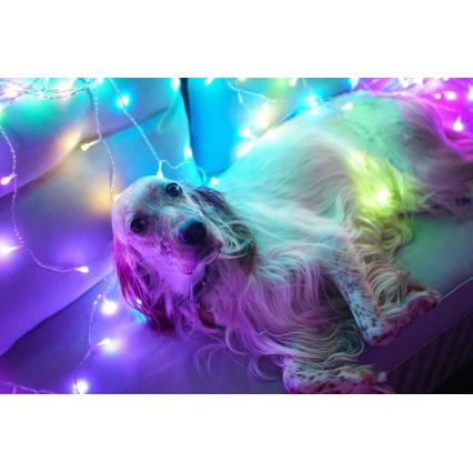 Twinkly - LED RGBW Hämardatav väli Jõuluteemaline valguskardin CURTAIN 210xLED 6,1m IP44 Wi-Fi
