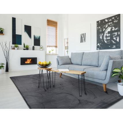 Vaip RABBIT 3D 120x170 cm antratsiit