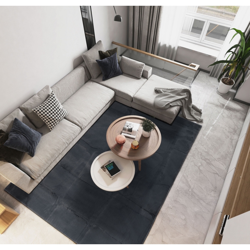 Vaip RABBIT 3D 120x170 cm antratsiit